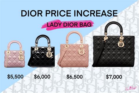 dior fare|dior price range.